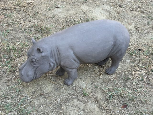 Hippopotamus L40 h17 L14